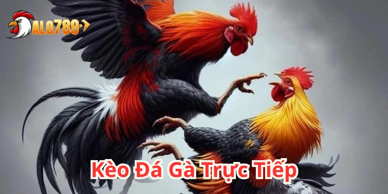 Kèo Đá Gà Trực Tiếp – Kịch tính, tốc độ và cảm xúc đỉnh cao