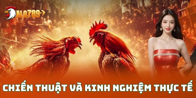 Chiến thuật và kinh nghiệm thực tế